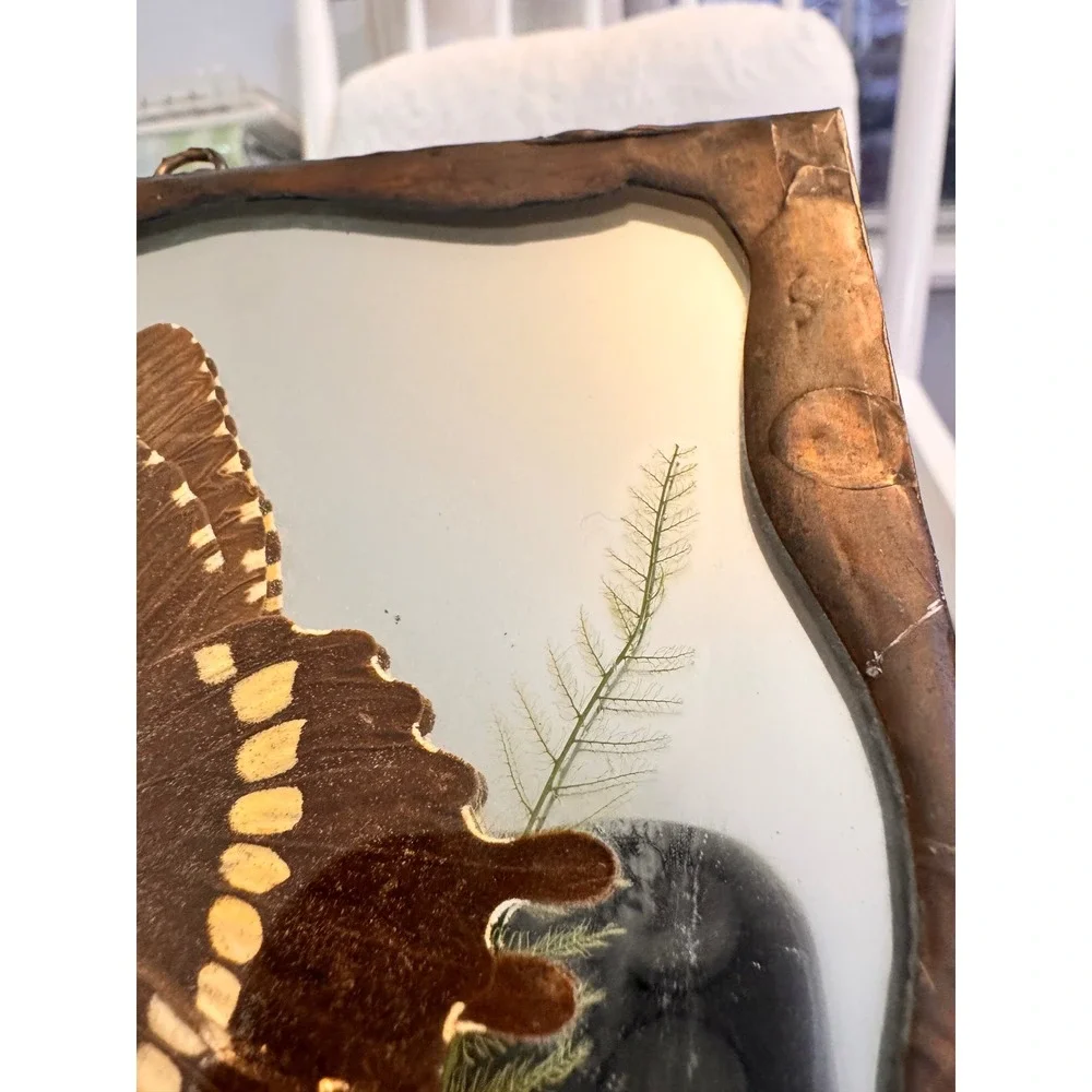 Vintage‎ Pressed Butterfly and Botanicals 5x5